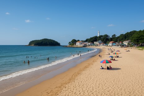 서해안 해수욕장 추천 관련 사진