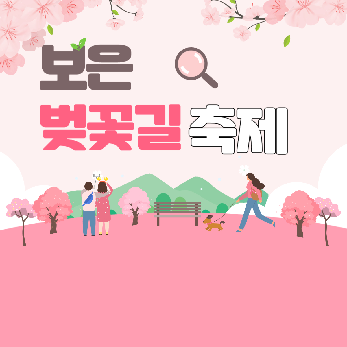 보은 벚꽃길 축제