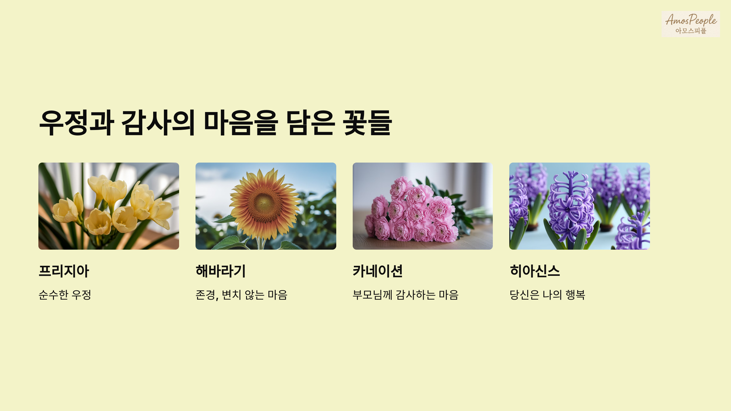 우정과 감사의 마음을 담은 꽃들