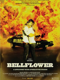 벨플라워 관련 사진