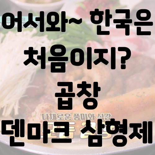 어서와 한국은 처음이지 곱창 덴마크 삼형제