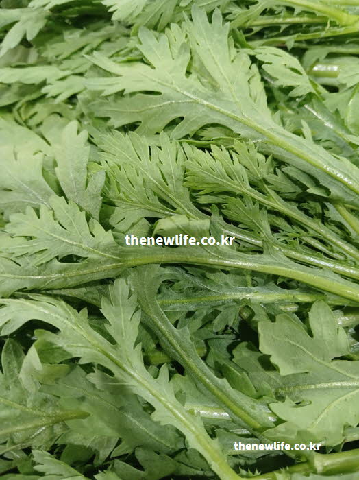 쑥갓의 효능을 살리는 올바른 데치기 조리법을 보여주는 실사진