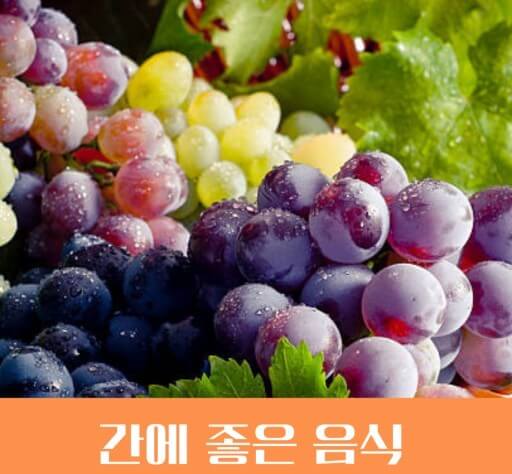 신이 주신 선물이라는 포도