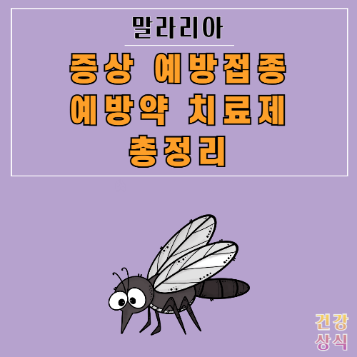 말라리아 증상 예방접종 예방약 치료제 총정리