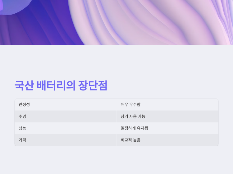 국산 배터리 장단점