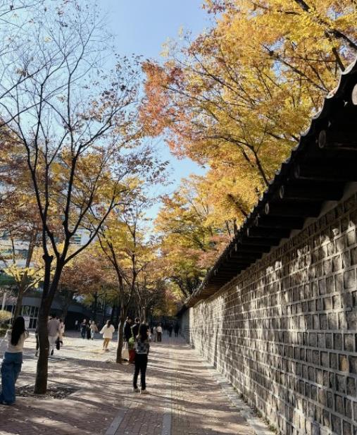 서울단풍명소 추천