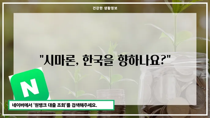 16호 태풍 시마론 경로와 분석