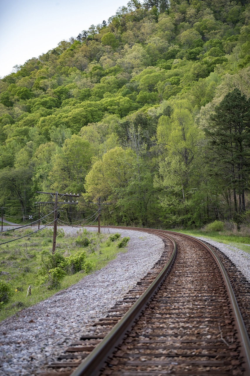 기차 창밖으로 펼쳐지는 논밭, 바다, 산맥 풍경 관련 사진