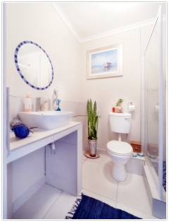 화장실 냄새제거 악취 없애는 방법