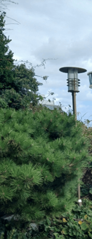 태종대 다누비열차 시간, 요금, 주차장