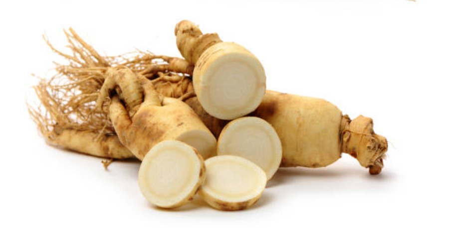 야생에서 채취를 한 인삼뿌리를 깨끗하게 세척을 한 후에 하얀 바닥 위에 1뿌리는 눕혀두고, 또 1부리는 토막을 내서 그 위에 놓아두고 찍은 사진