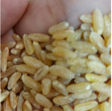 카무트_효능_부작용