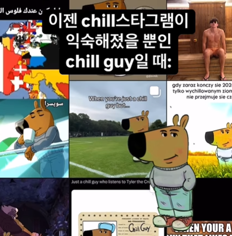 chill guy 뜻 밈 인기 이유