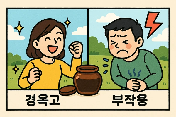 경옥고 효능과 부작용 정리14