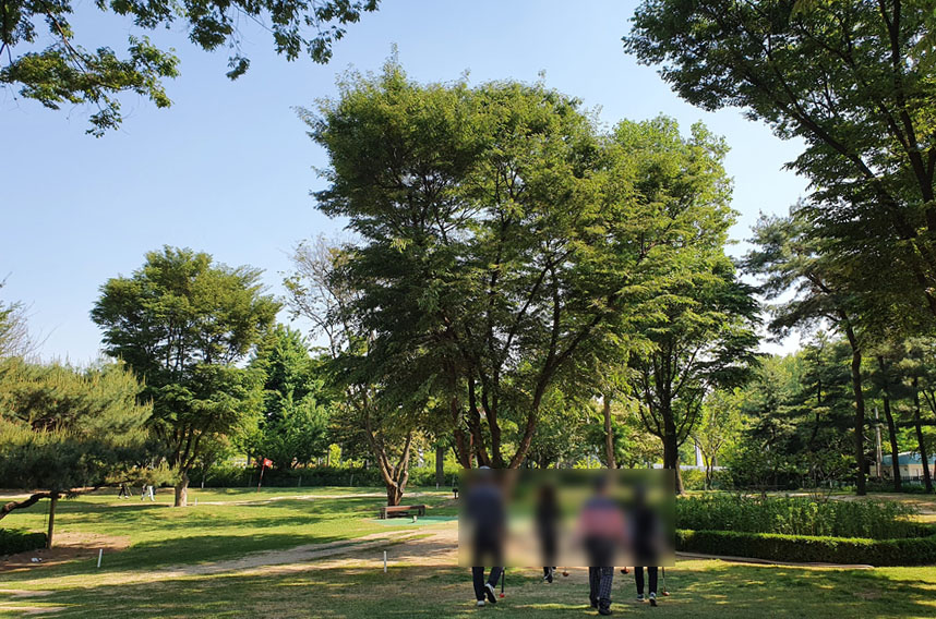 서울 송파구 잠실종합운동장 파크골프장 소개 (잠실파크골프장)