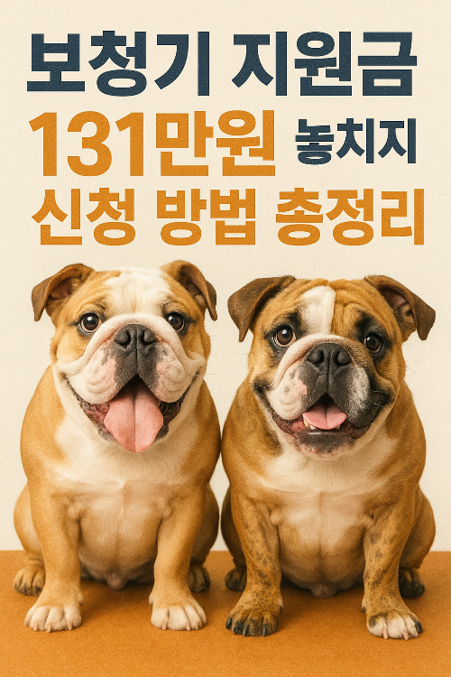 보청기 지원금 131만원 놓치지 마세요! 신청 방법 총정리