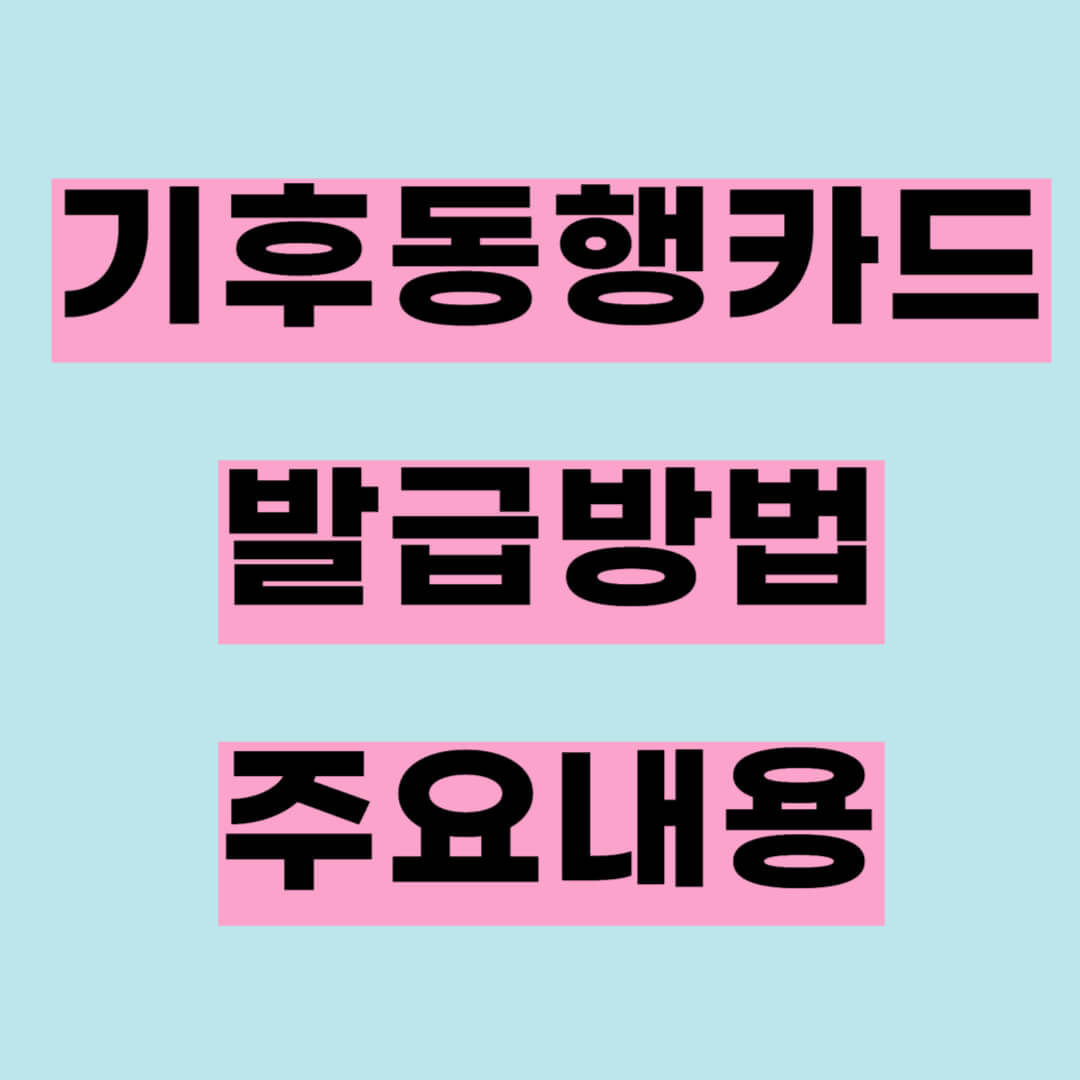기후동행카드 발급방법