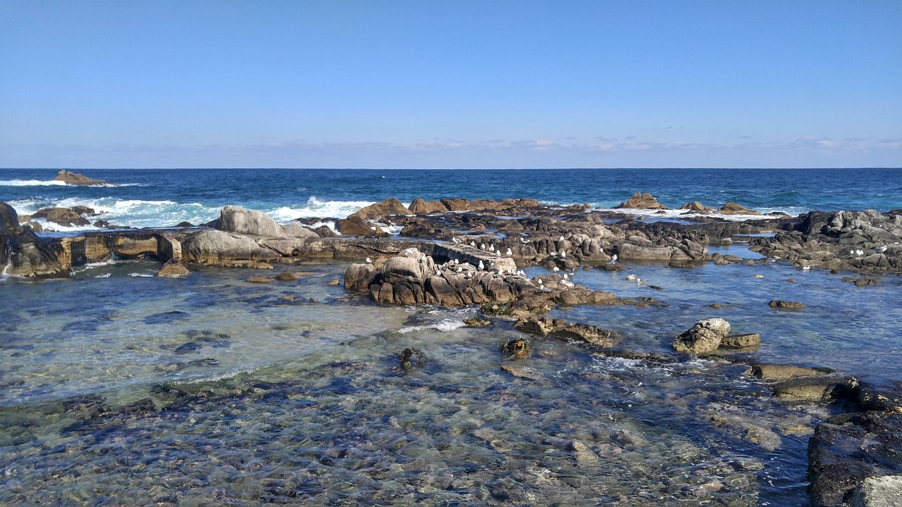 한국바다