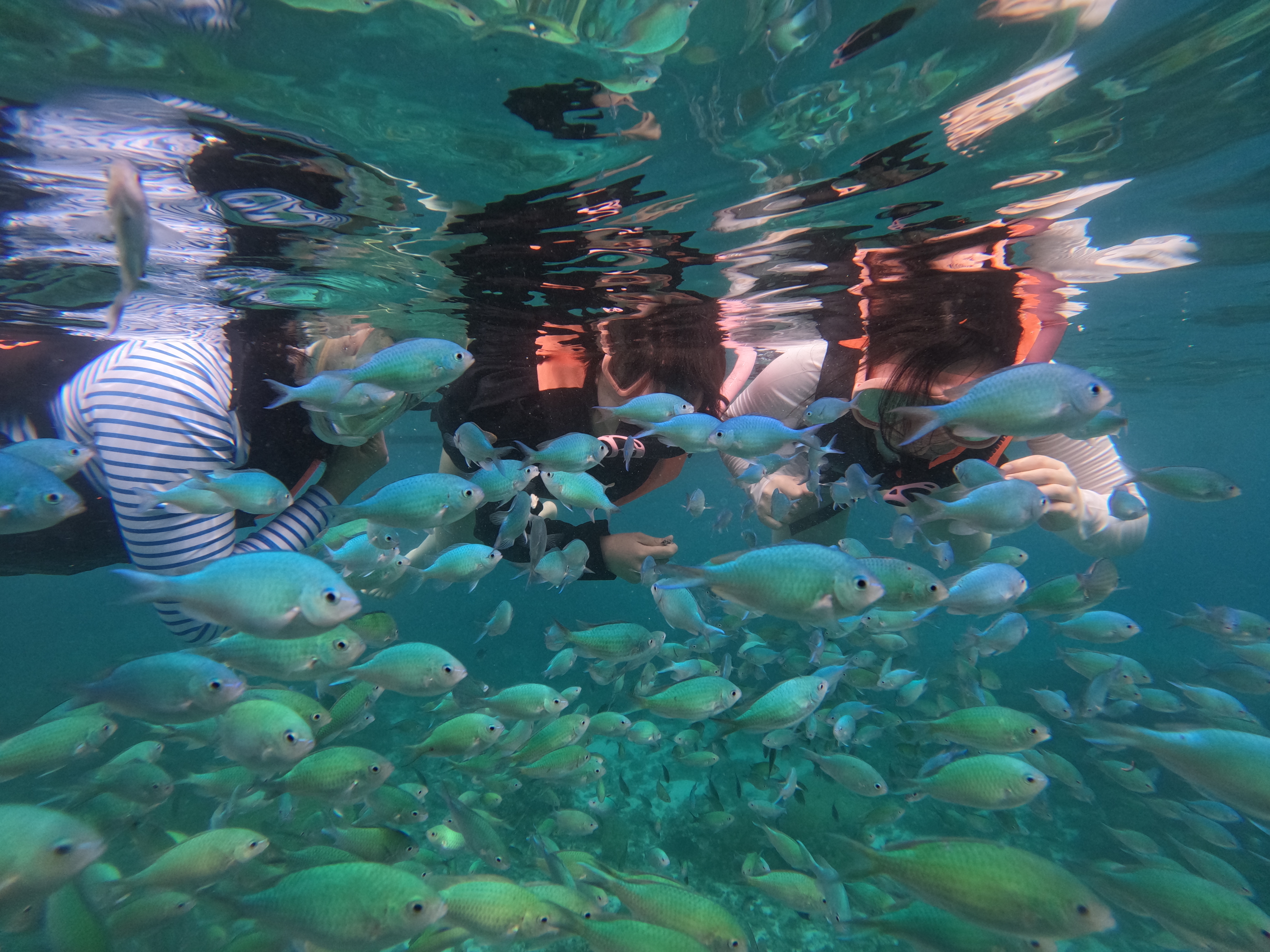 로컬페이지 발리카삭 나팔링 투어