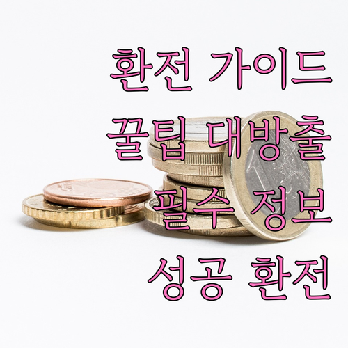 성공적인 환전을 위한 모든 것: 환전