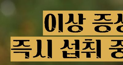 상황버섯 효능 부작용