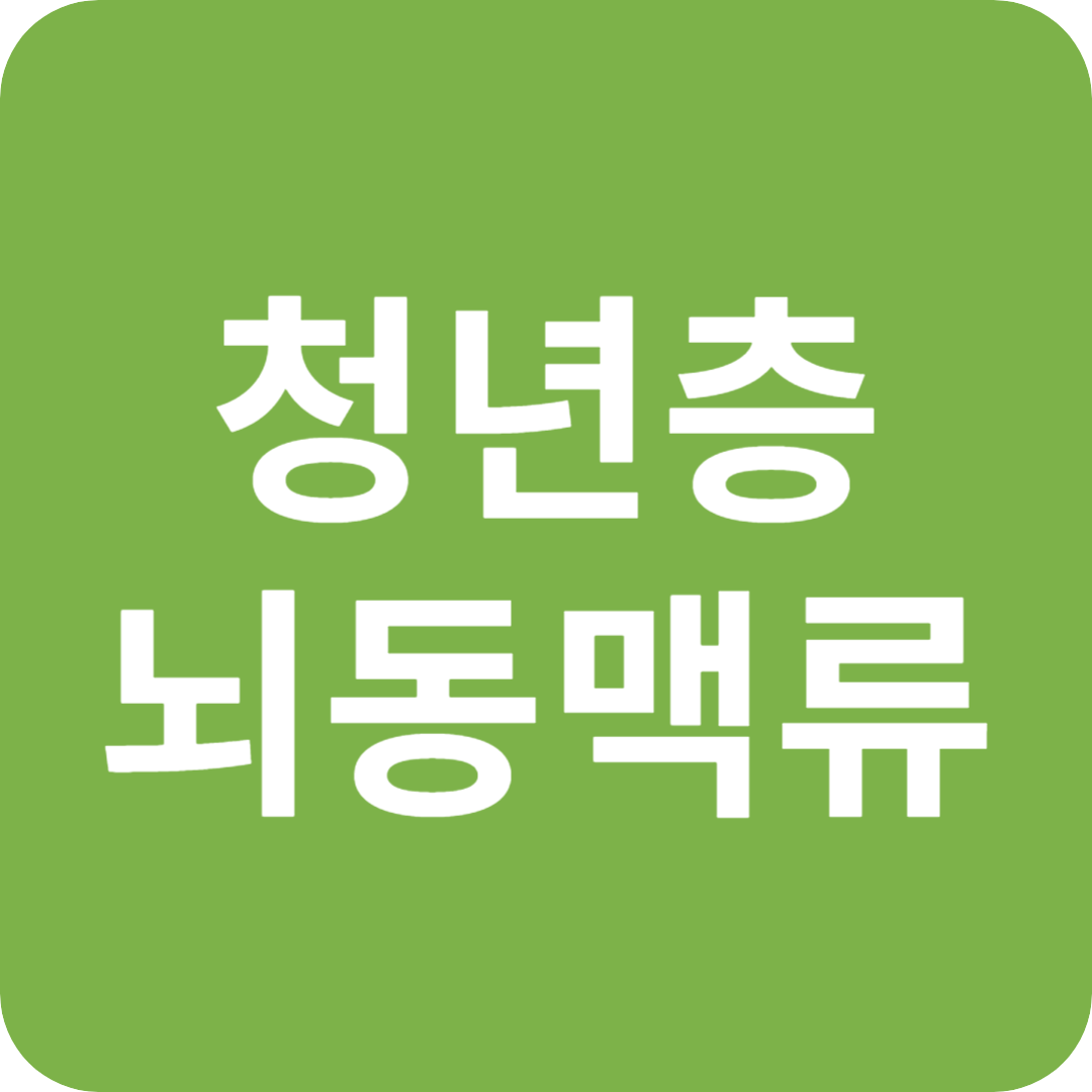 청년층뇌동맥류이미지