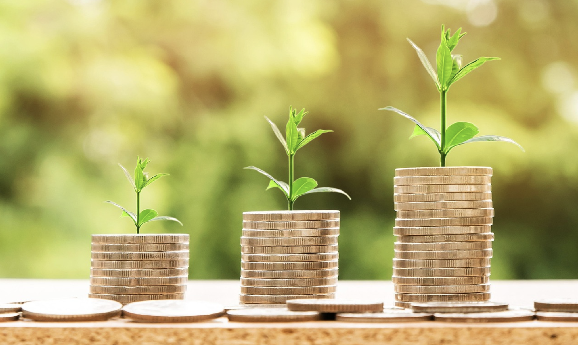 농협 지금더페이 무실적 1.7% 카드 -혜택, 단종 여부, 대체 상품까지