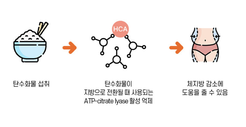 비타미톡효과후기