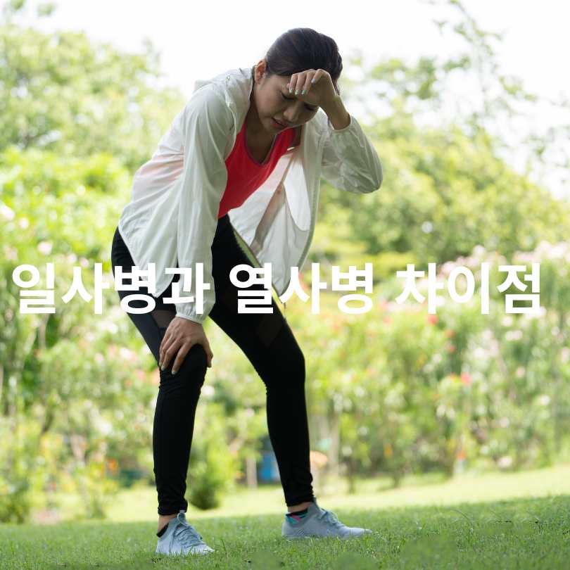 일사병과 열사병 차이점 총정리