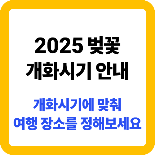 2025 벚꽃 개화시기 안내