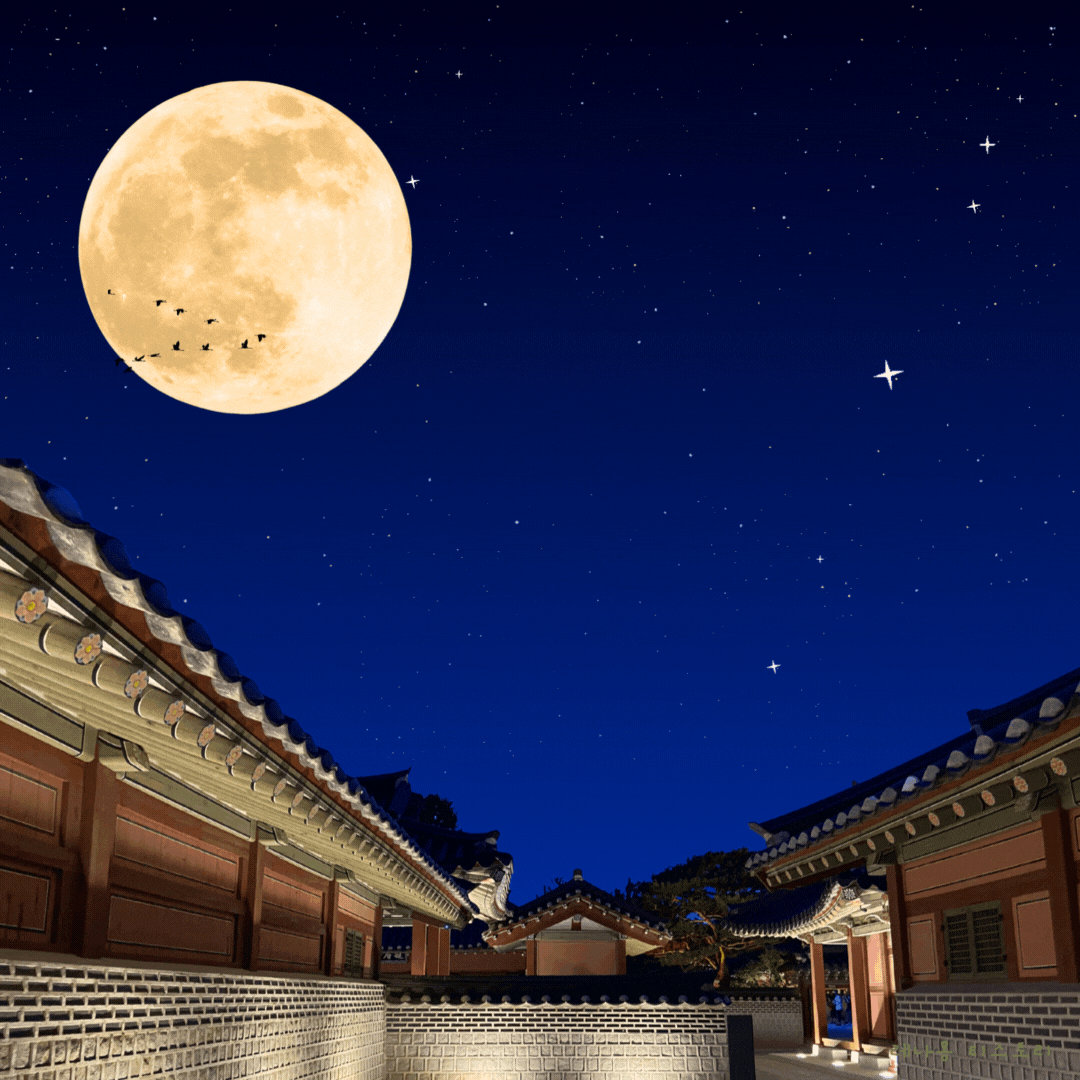 ์ถ์ ์ด๋ฏธ์ง gif