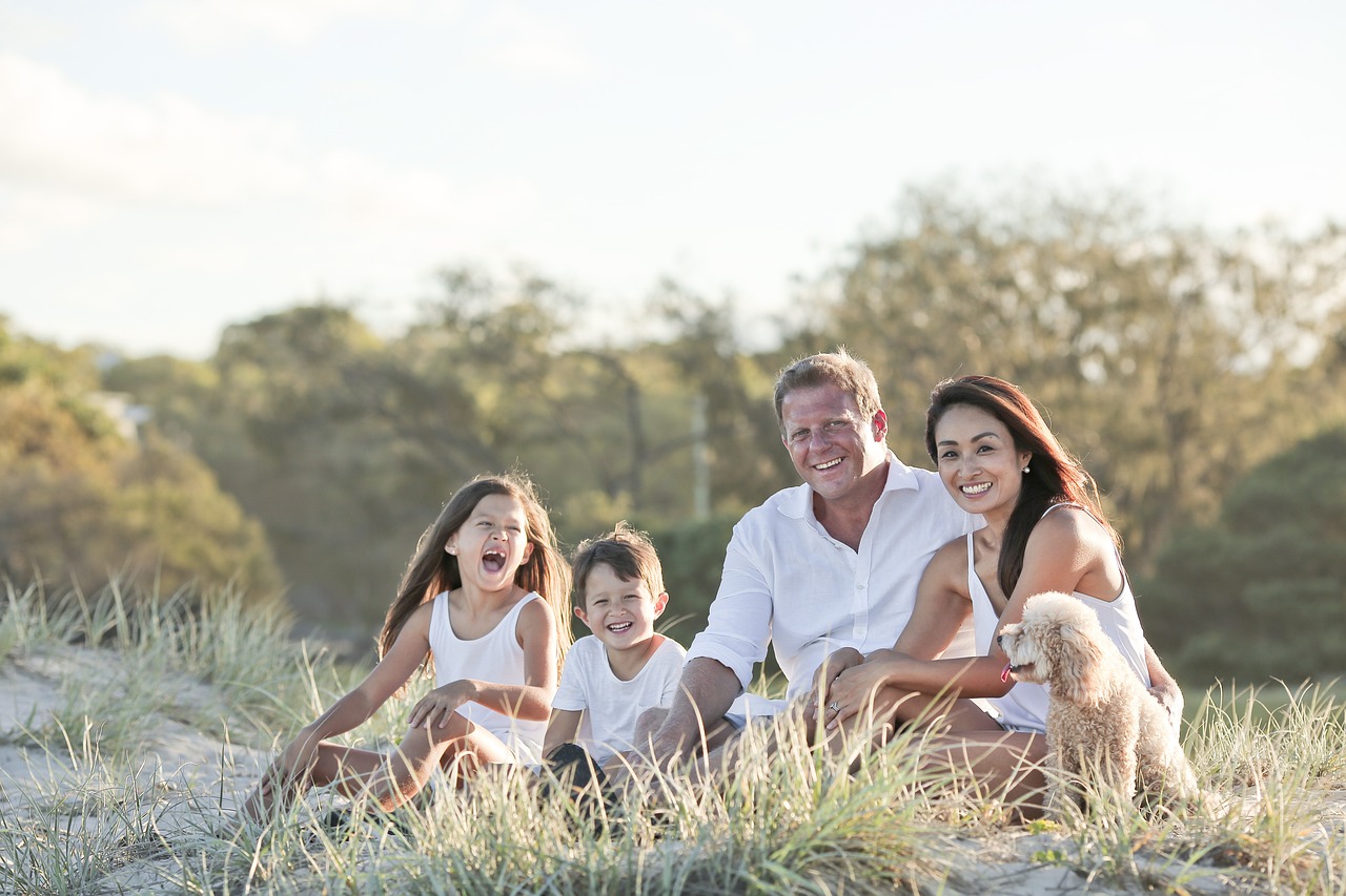 가족과 함께 보는 영화 관련 사진