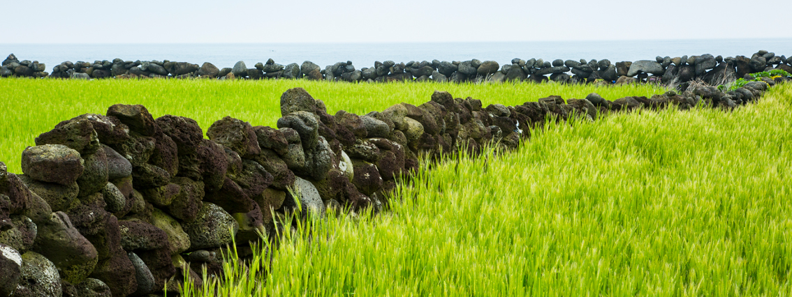 가파도 돌담길 사진