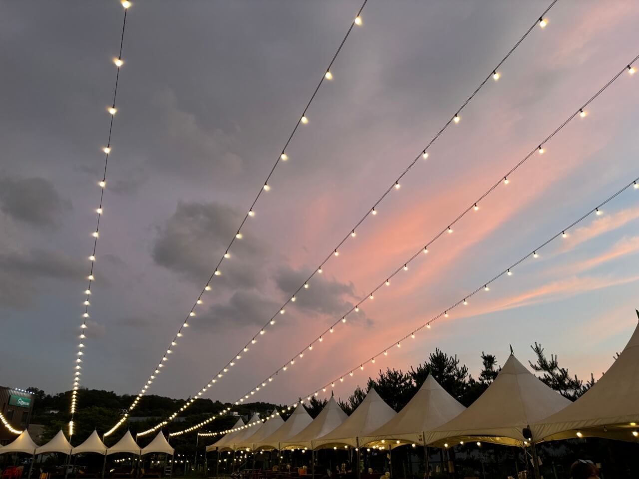 생방송투데이 오늘도 달린다! 청년 사장 경기 포천 20대 애견 카페 사장 편 뽀야네 딩가댕가 생방송투데이 3779회