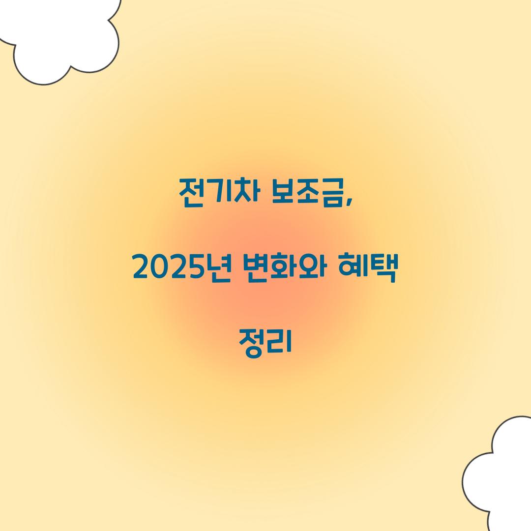 전기차 보조금