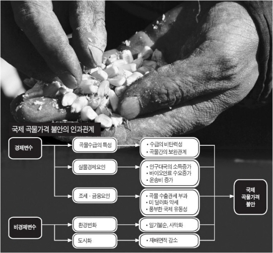 국제 곡물가격 불안의 인과관계