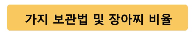 가지요리