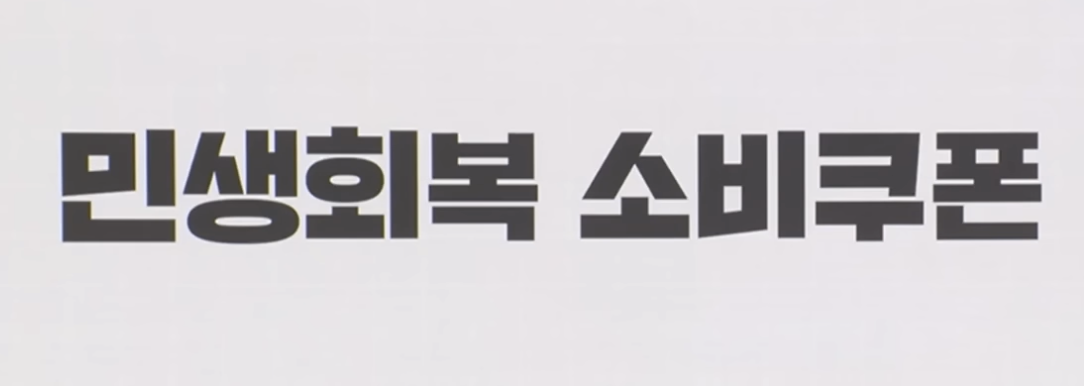 민생지원금