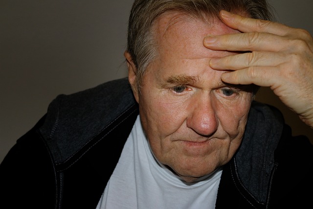 명도소송 과정2