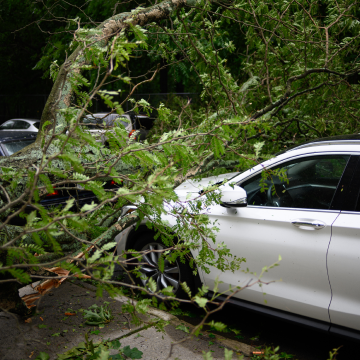 자동차세 계산방법