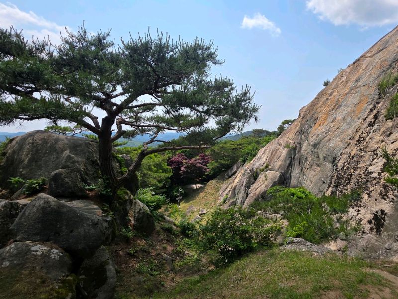부여 성흥산성