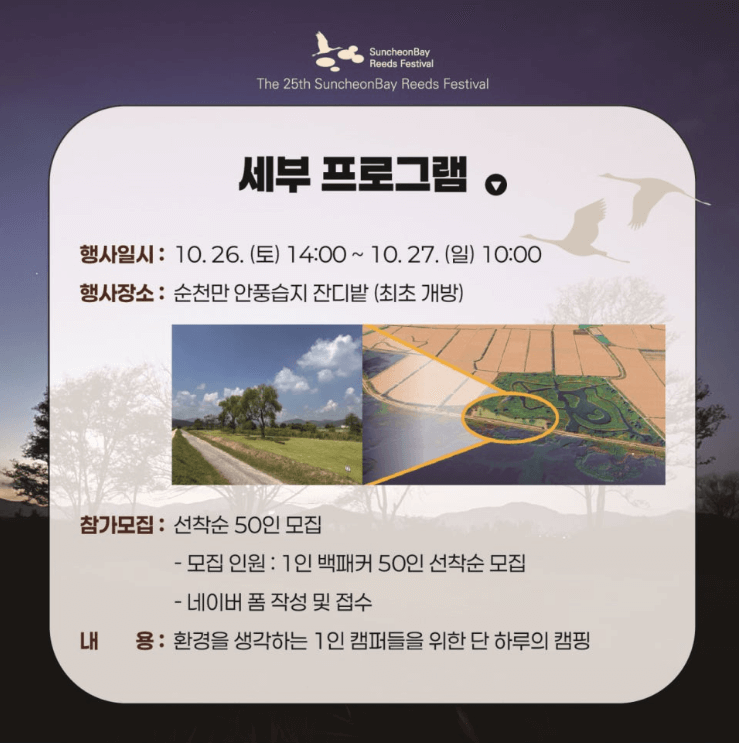 순천만 백패커의 밤 