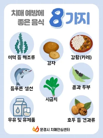 치매 예방 운동 뇌건강 걷기 퍼즐 독서 습관_13