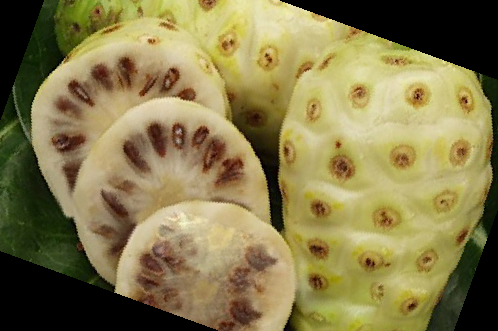 노니 효능 부작용 주스 복용법