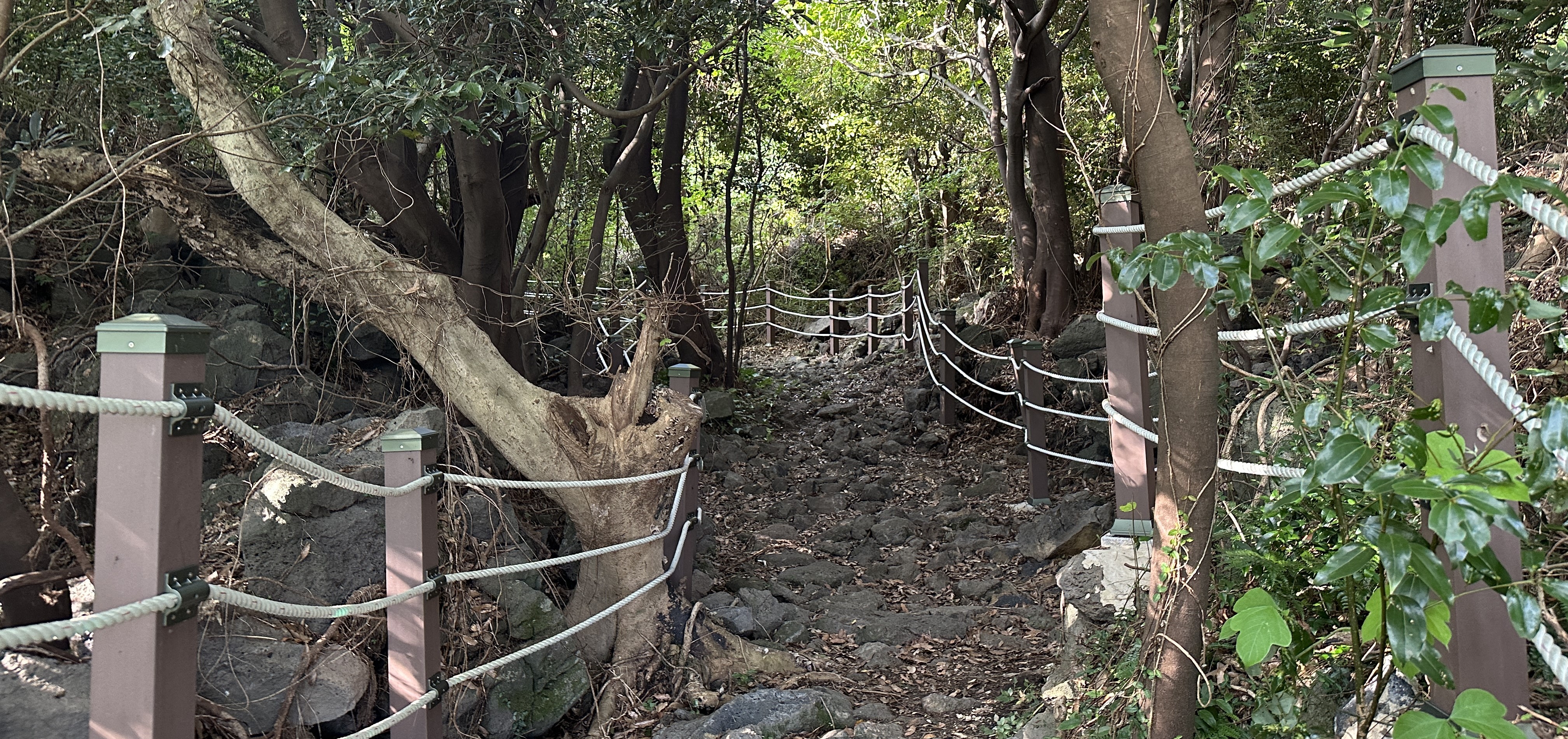 송당곶자왈 입구