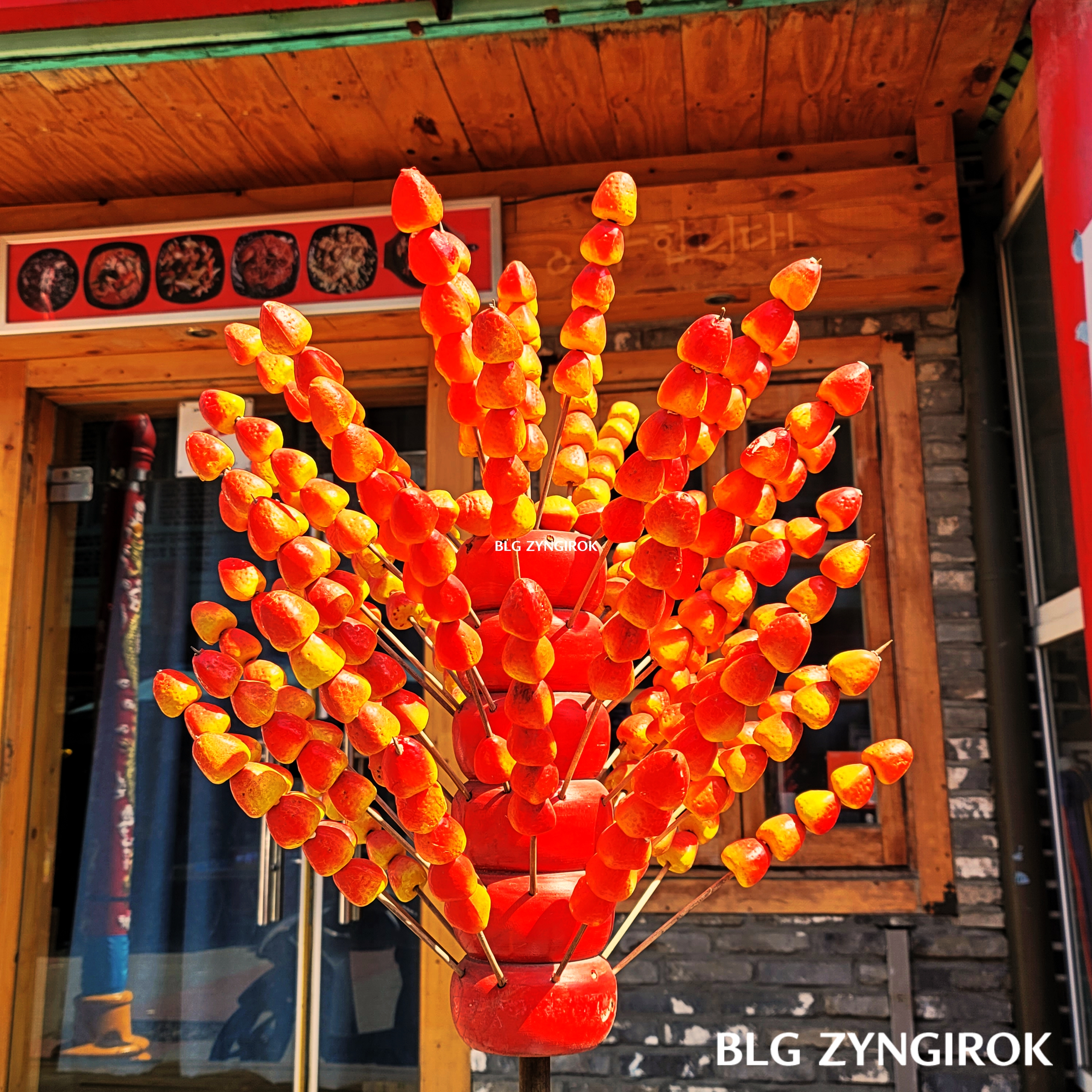 탕후루가 불꽃처럼 꽃혀있다.