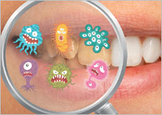 리디잇치약 후기, 효능, 가격