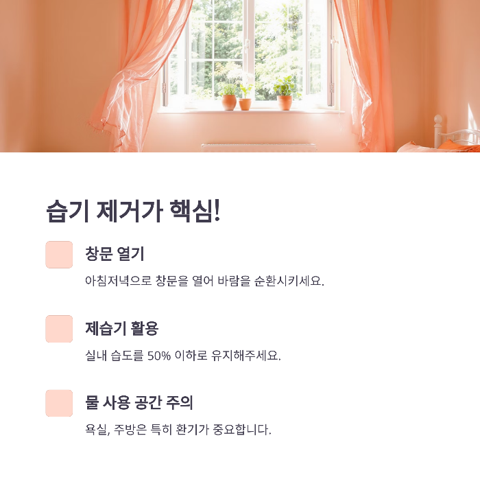 환기와 제습: 기본 중의 기본