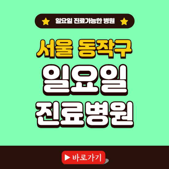 서울 동작구 일요일 진료 가능한 병원 ❘ 주말 문여는 곳 총정리 (소아과, 내과, 안과, 치과, 피부과, 정형외과, 산부인과)