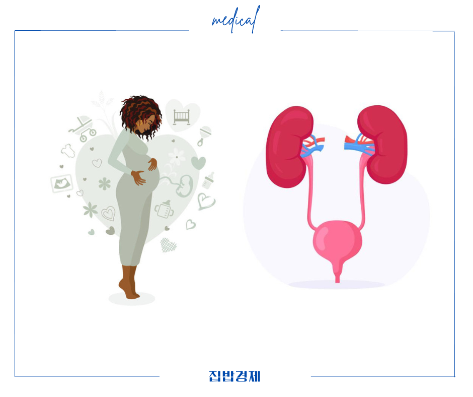 비맥스메타비 주의사항